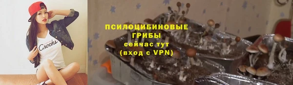 каннабис Новозыбков