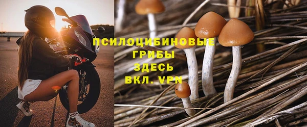 ГАЛЛЮЦИНОГЕННЫЕ ГРИБЫ Билибино