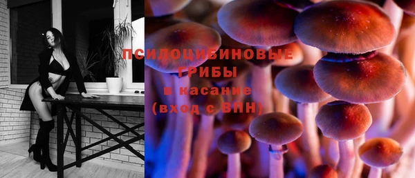 a pvp Новокубанск