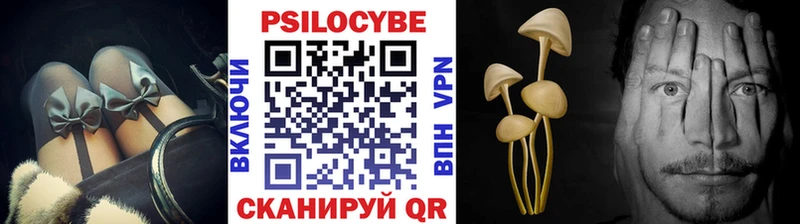 Псилоцибиновые грибы ЛСД Бежецк